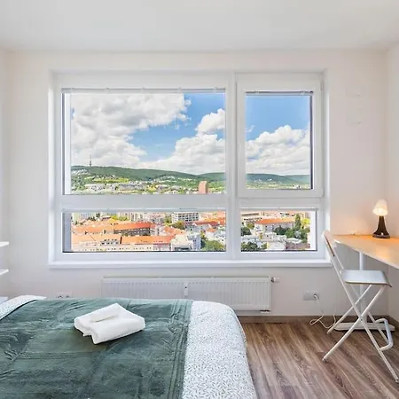 Panoramic View Close To Hockey Stadium